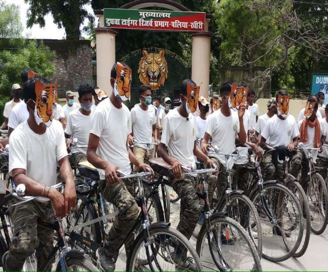 International Tiger Day 2021: दूघवा टाइगर रिजर्व से निकली साइकिल जागरुकता रैली, बाघ संरक्षण के लिए दिलाई शपथ