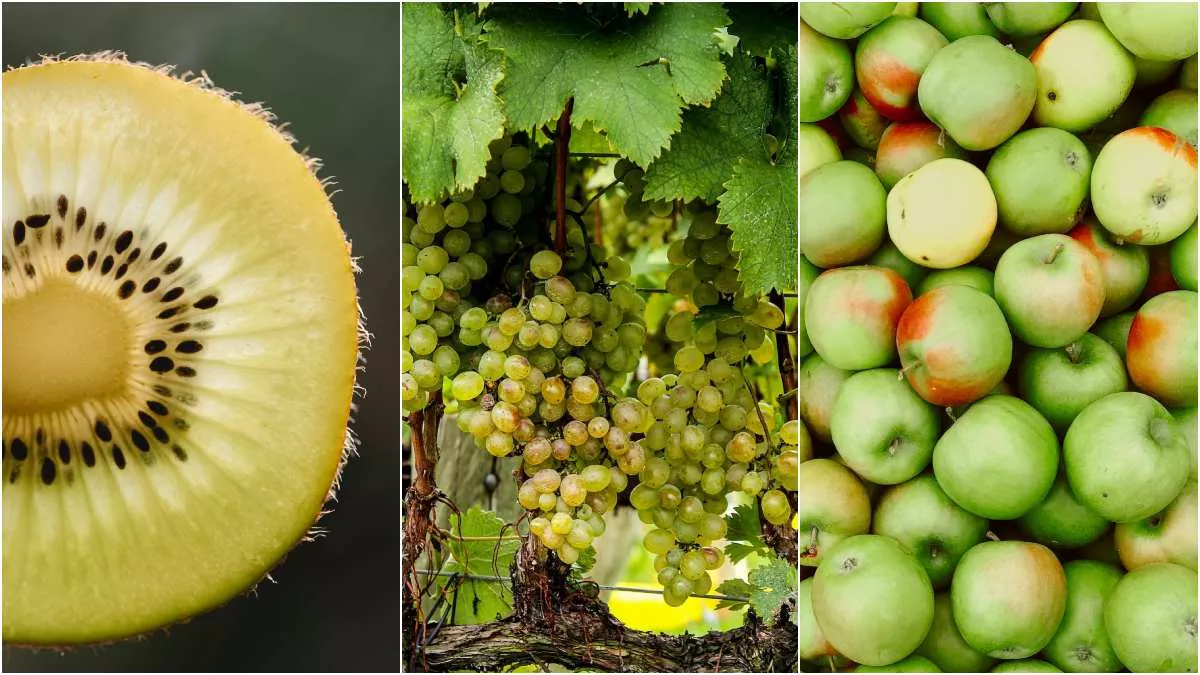 Green Fruits Benefits: इन 5 हरे फलों को करेंगे डाइट में शामिल, तो बचे रहेंगे इन गंभीर बीमारियों से