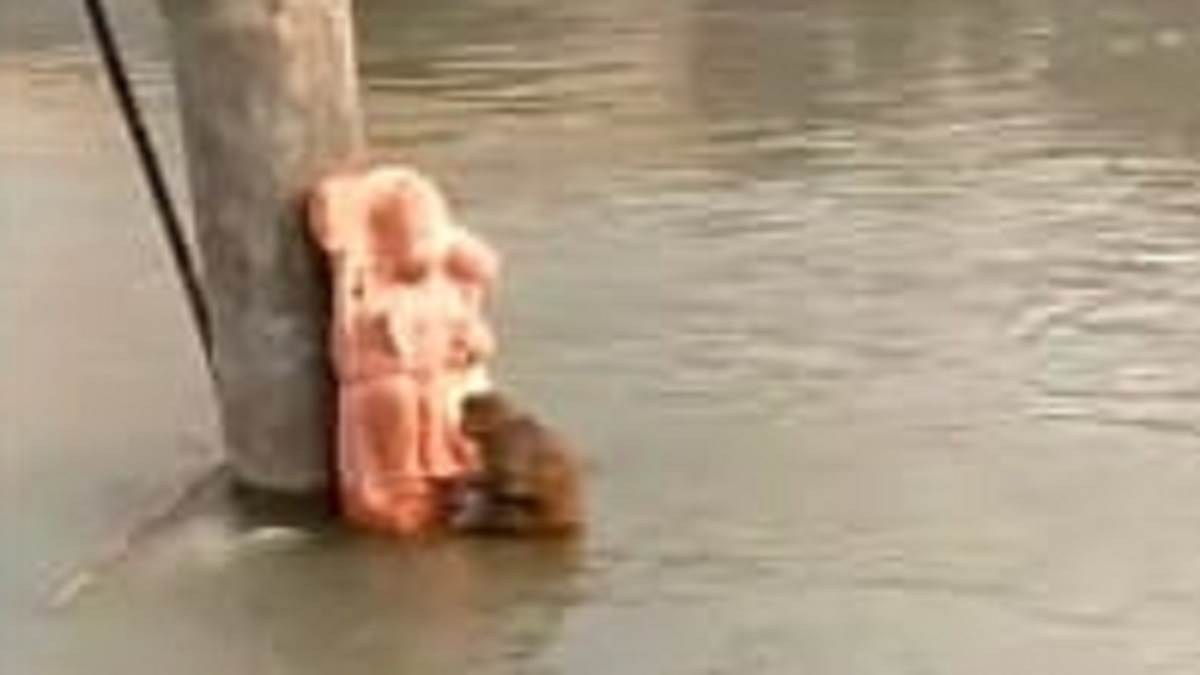 Ghaziabad News: गंग नहर में डूब रहे बंदर का हनुमान जी बने सहारा, ऐसे बची जान; लोगों ने बताया चमत्कार