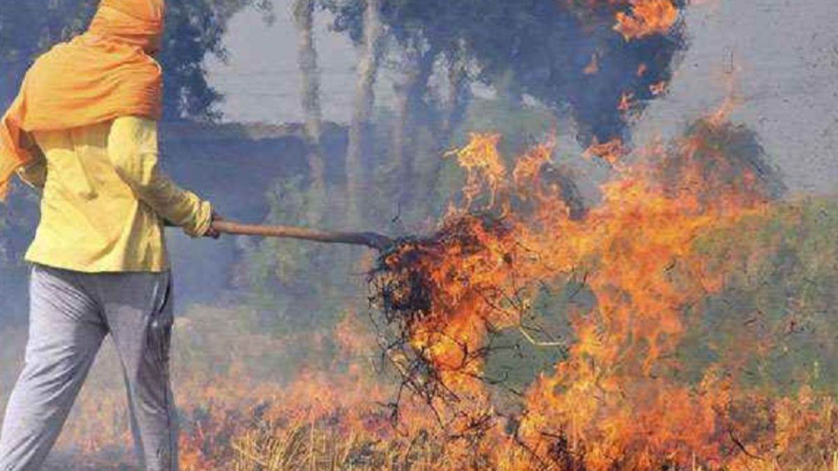 Pollution In Delhi NCR: दिल्ली-एनसीआर के करोड़ों लोगों के लिए बैड न्यूज, UP-पंजाब व हरियाणा में जलने लगी पराली
