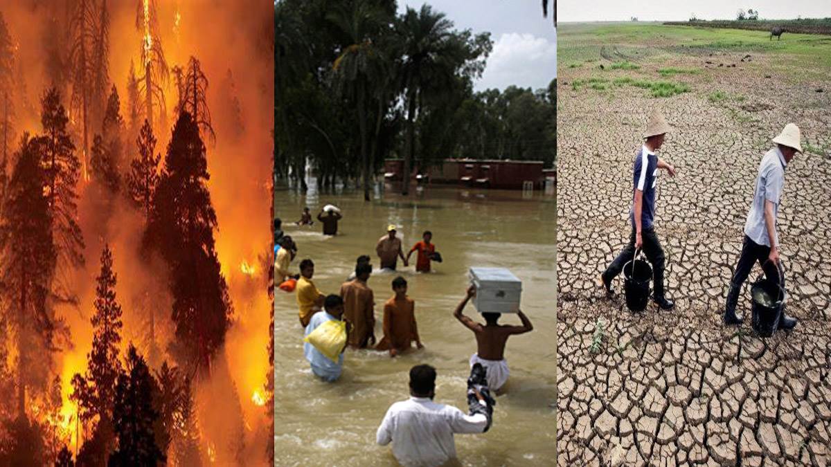 Climate Change: पूरी दुनिया में आफत बन रहा है बिगड़ा हुआ मौसम, कहीं आग तो कहीं पानी ही पानी, कहीं पर सूखे की मार
