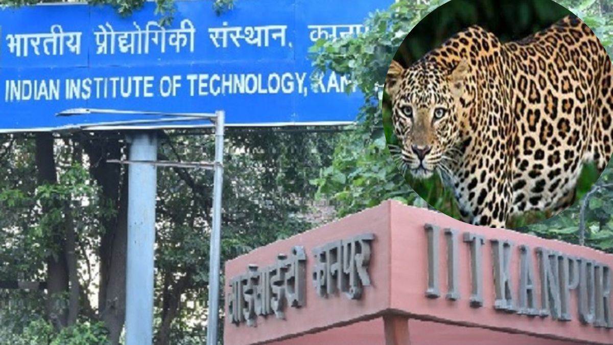 Leopard In IIT Kanpur: चप्पे-चप्पे की निगरानी के लिए लगाए जा रहे और कैमरे, वायरल वीडियो ने बढ़ाई दहशत