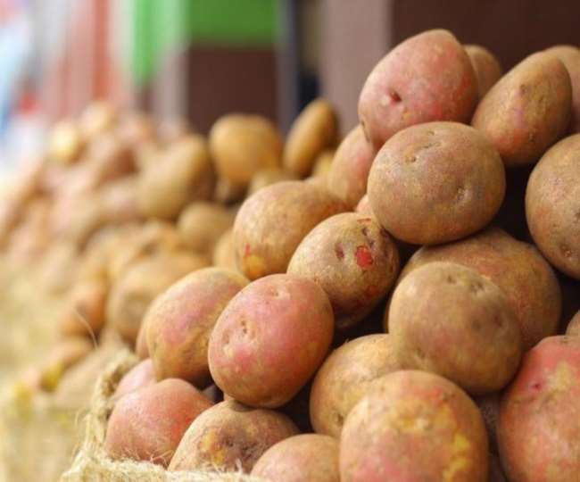 Potatoes Price: नए आलू के आने तक बढ़ेगा पुराने का दाम, आगरा में बंद किए जा रहे हैं कोल्‍ड स्‍टोरेज