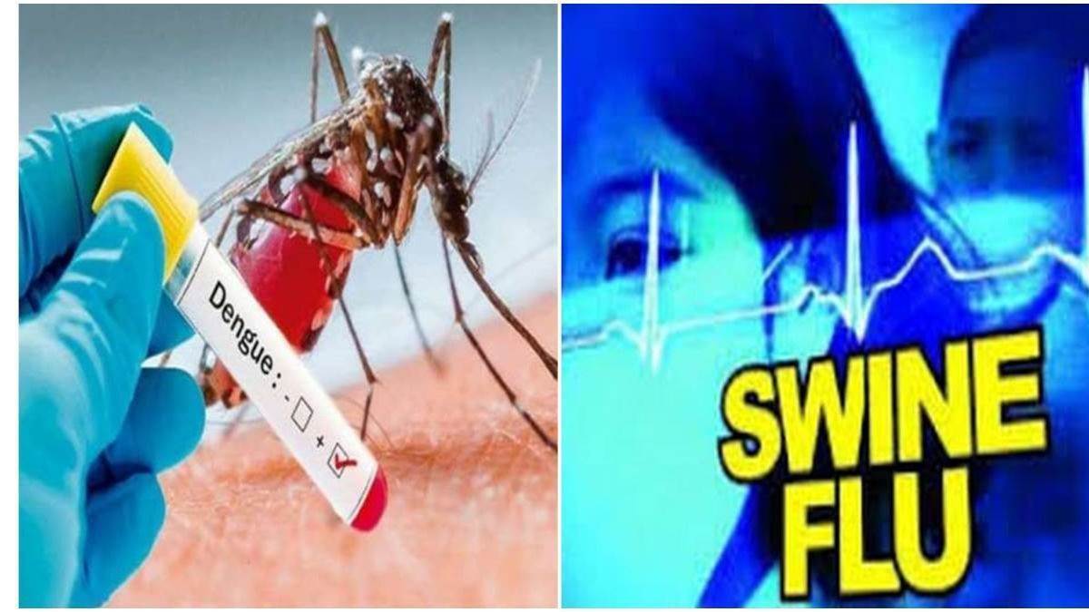 लुधियाना में स्वाइन फ्लू का आंकड़ा चाैकान्ने वाला, 80 प्रतिशत 50 से अधिक उम्र के लाेग; डेंगू से राहत