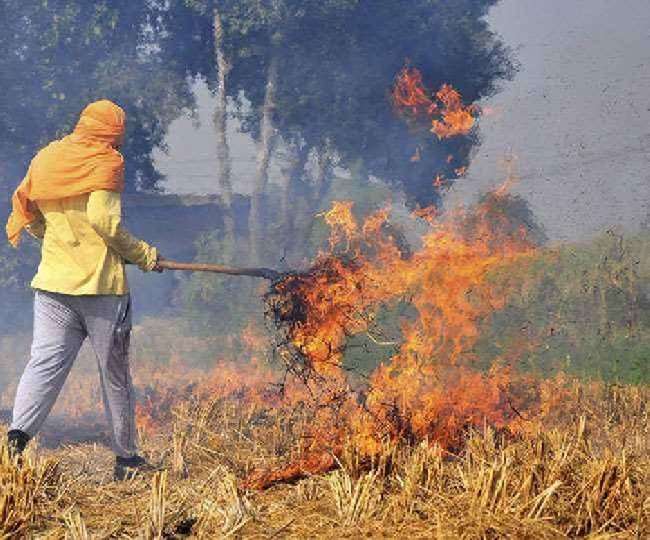 पराली जलाने वाले किसानों को नहीं मिलेगा प्रधानमंत्री नरेंद्र मोदी का तोहफा, जानें क्या है मोदी तोहफा