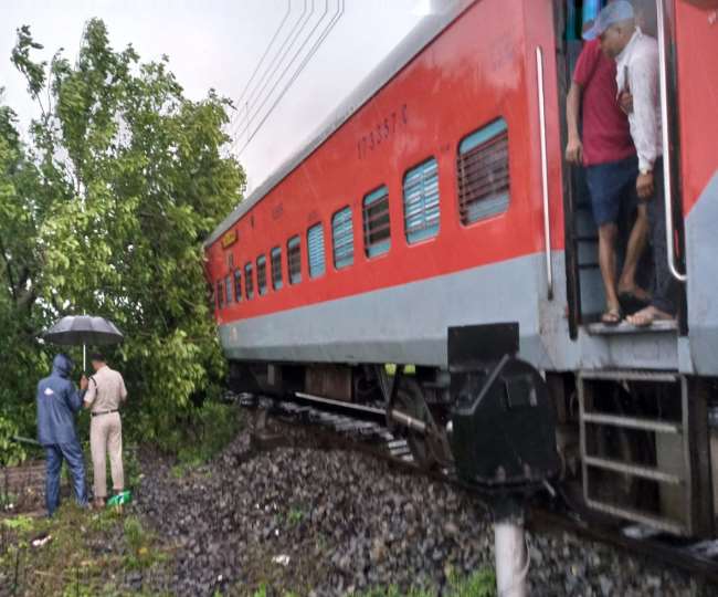 गोरखपुर में बारिश के कारण आम्रपाली एक्सप्रेस पर गिरा पेड़, डेढ़ घंटे ठप रहा ट्रेनों का संचालन
