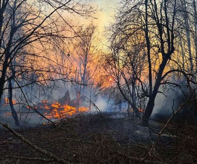 सरिस्का टाइगर रिजर्व में फैली आग, बाघों सहित अन्य वन्यजीवों को खतरा, सेना के हेलीकाप्टरों से पानी का छिड़काव