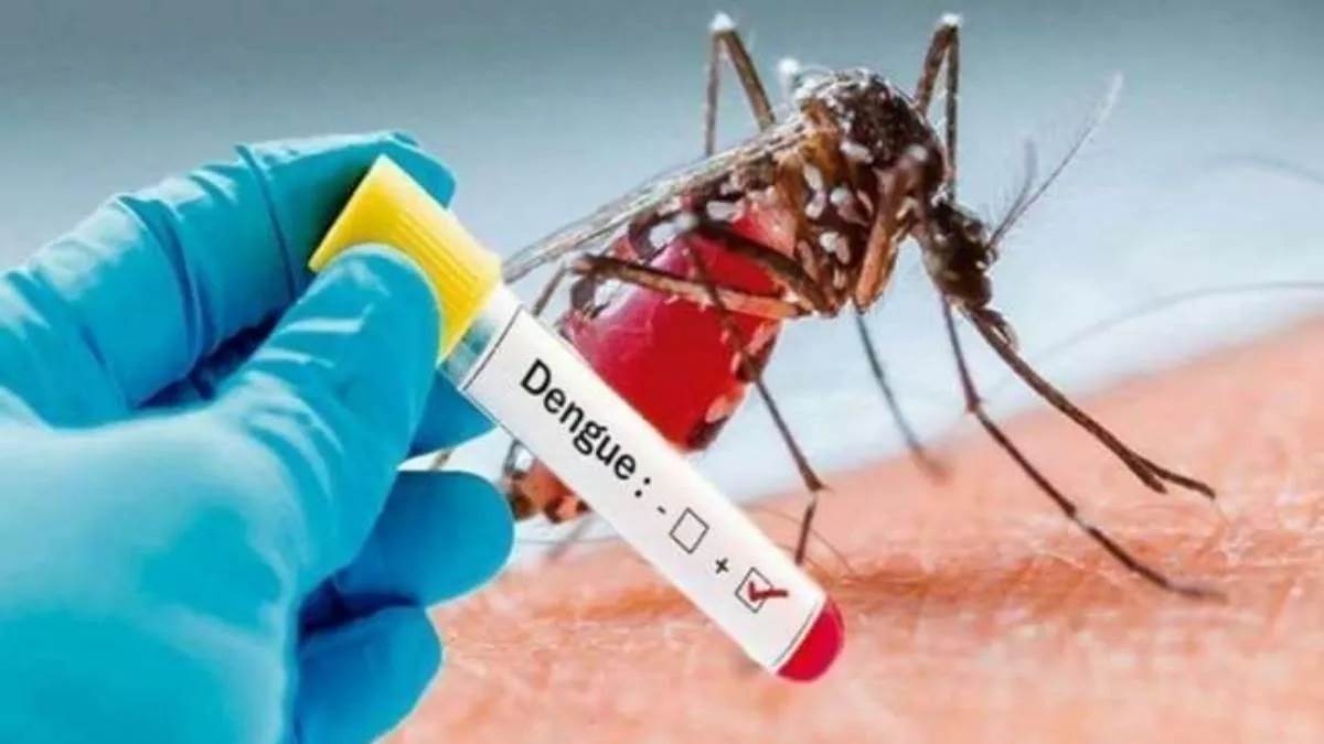 Delhi Dengue Alert: बारिश और जलभराव ने बढ़ाई एक और परेशानी, दिल्ली में 2017 के बाद से पहली बार डेंगू का खतरा बढ़ा