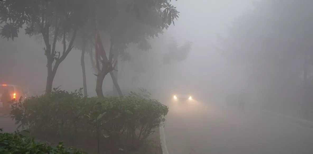 Delhi Cold Wave: शिमला-नैनीताल से भी ठंडी रही दिल्ली, 1.5 डिग्री पहुंचा तापमान; शीतलहर से कांपे लोग