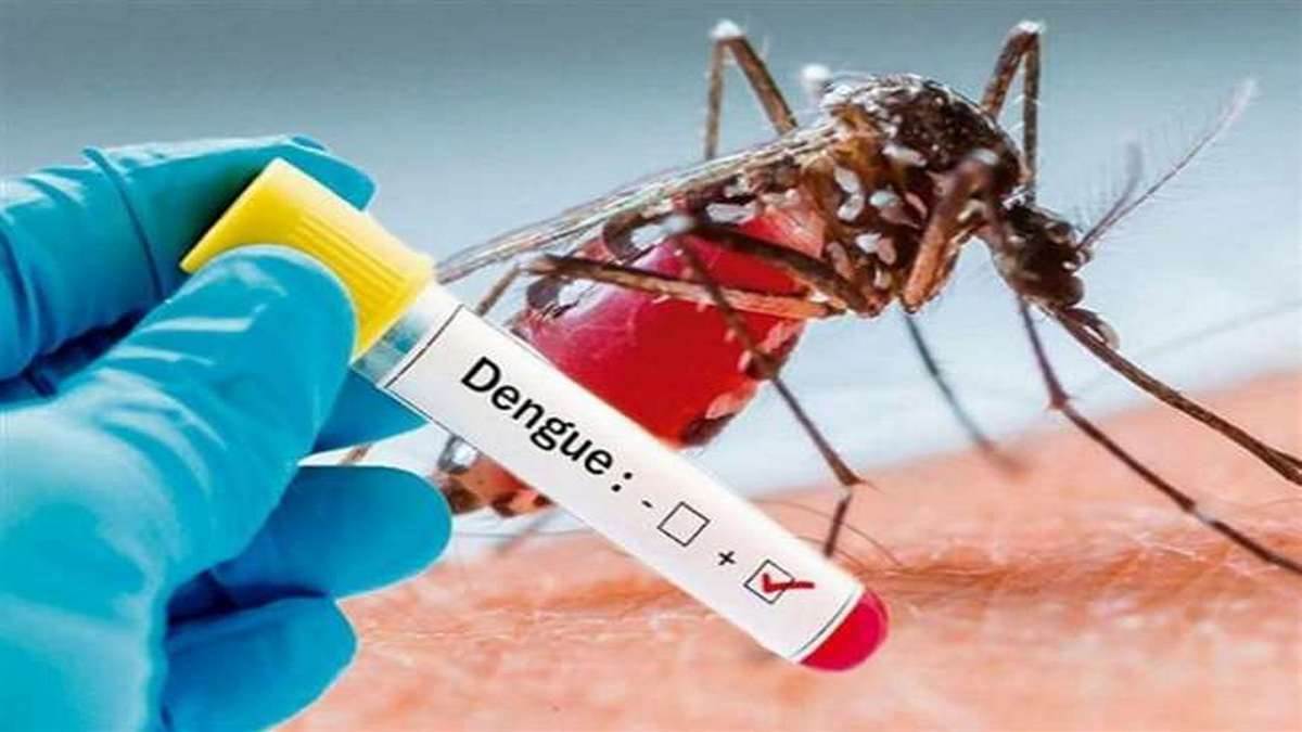 Dengue Cases in Ludhiana: माैसम में बदलाव से बीमारियाें का बढ़ा खतरा, डेंगू के 14 मरीज मिलने से हड़कंप