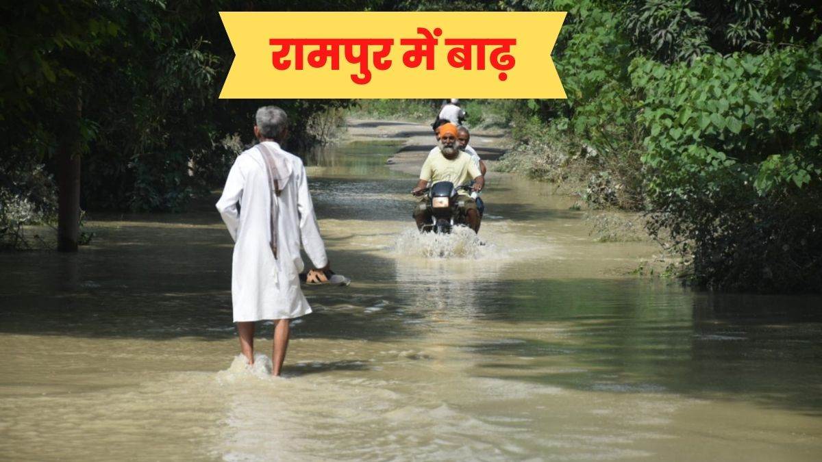 Rampur की कोसी नदी में आई बाढ़, शहर में भरा पानी, बारिश में गिर गए 25 मकान